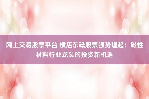 网上交易股票平台 横店东磁股票强势崛起：磁性材料行业龙头的投资新机遇