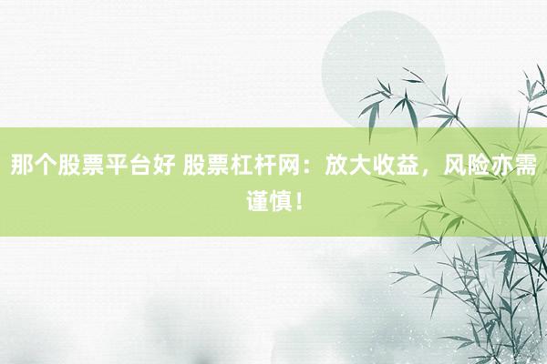 那个股票平台好 股票杠杆网：放大收益，风险亦需谨慎！
