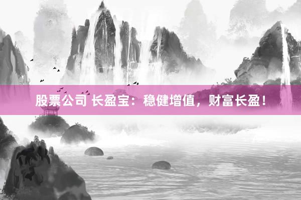 股票公司 长盈宝：稳健增值，财富长盈！