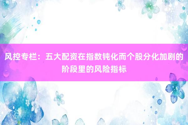 风控专栏：五大配资在指数钝化而个股分化加剧的阶段里的风险指标