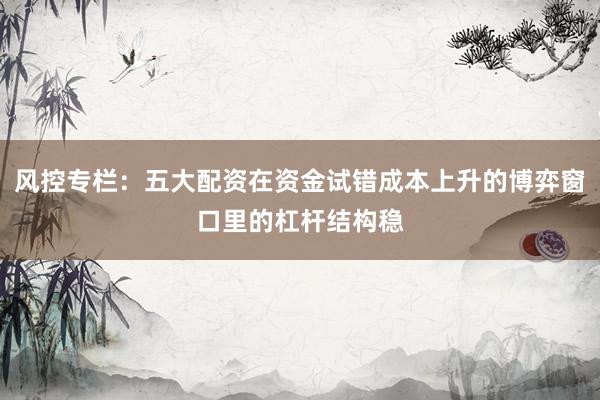 风控专栏：五大配资在资金试错成本上升的博弈窗口里的杠杆结构稳