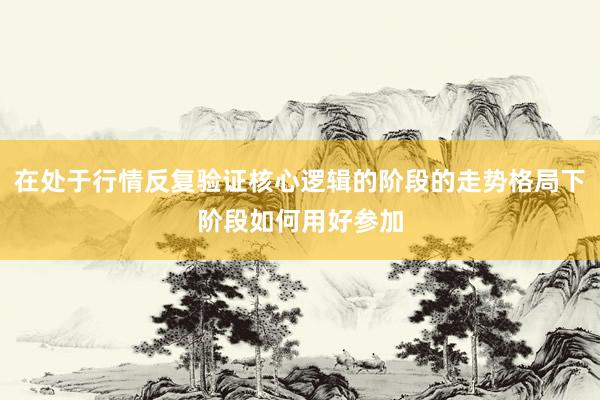 在处于行情反复验证核心逻辑的阶段的走势格局下阶段如何用好参加